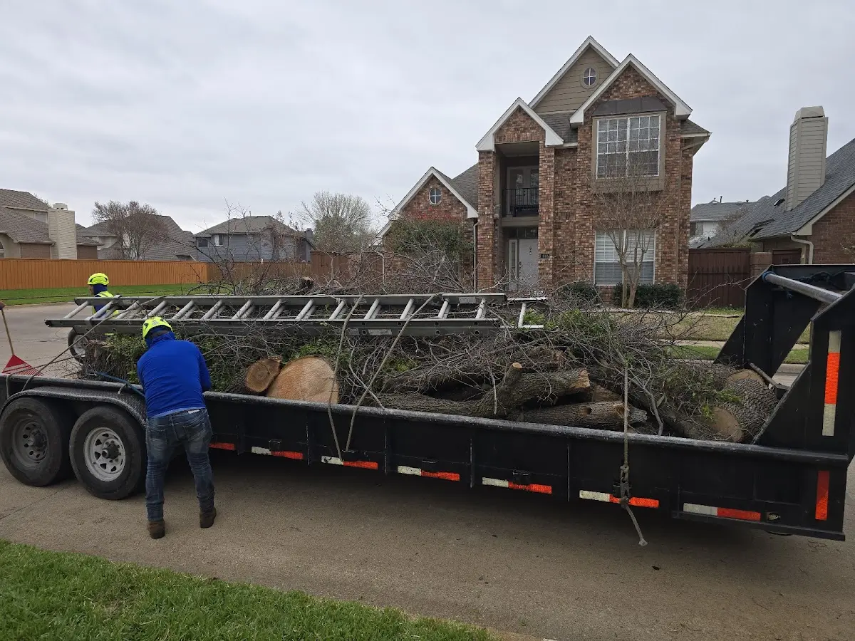 Expert Tree Fertilization with proper safety equipment in Hartshorne